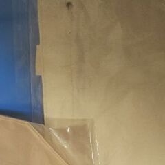 ミニト～トバッグ（訳ｱﾘ1の画像