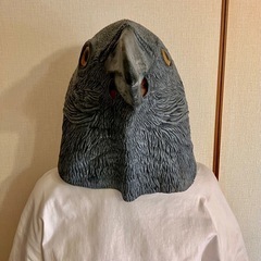 カラスのマスク　コスプレやパーティーでの画像