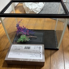 使わなくなった為！水槽売ります！