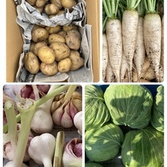 ②6／6畑にある野菜