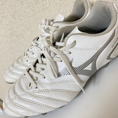 スパイク 23.5cmの画像
