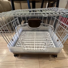 うさぎ小屋
