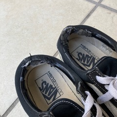 コンバース vansの画像