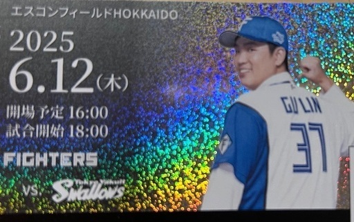 6/12 エスコン　ファイターズ対スワローズ　バックネット裏メインレベル２枚