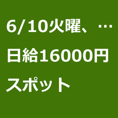 【スポット案件】【日給16000円】東京都世田谷区 / 軽貨物ド...