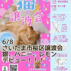 とらちゃん本舗

保護猫譲渡会in中浦和