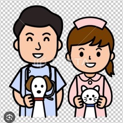 資格の勉強一緒にしませんか？