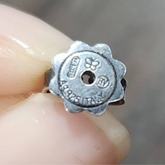 ボッテガヴェネタのピアスの画像