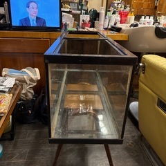 水槽の画像