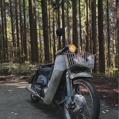カブ90