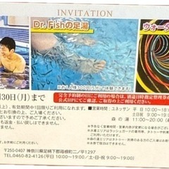 箱根 箱根ユネッサン 箱根小涌円ユネッサン お風呂とプールが入れます！2025年6月30日の画像