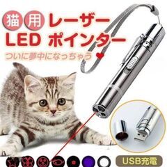 レーザーポインター　充電式の画像