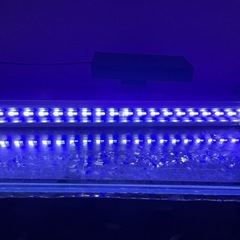 ゼンスイLEDシャイニングブルー600、海水魚、サンゴ、アクアリウム、水槽ライトの画像
