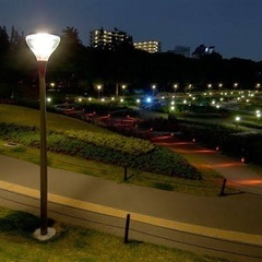 🌙金曜夜のゆるウォーク in 靱公園🌳