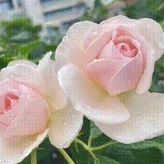 ✨お気に写真を綺麗にしちゃおう会✨