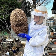 鉢駆除業界最安値