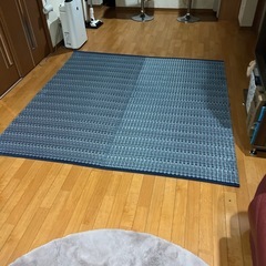 青っぽいい草ラグ