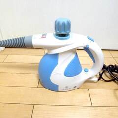 高温　除菌　洗浄　スチームクリーナー