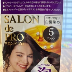 【済】白髪染めの画像