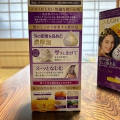 【済】白髪染めの画像