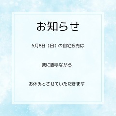 次回以降の販売予定 多肉植物 アガベ
