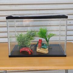 水槽45cm ガラス製