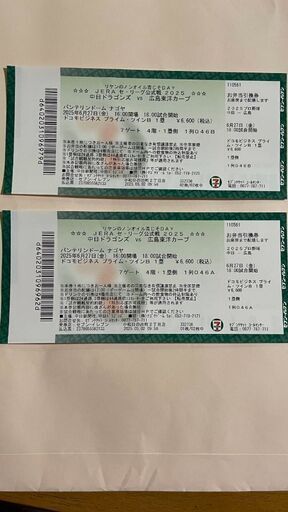 野球観戦ペアチケット　ドラゴンズ　カープ　6月27日18時開始(金)