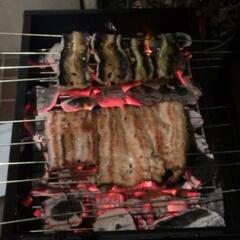 鰻釣りLINEOpenChat【鰻遊会】　　　メンバー募集のお知らせ✨