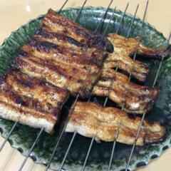 ⑦鰻釣りLINEOpenChat【鰻遊会】　　　メンバー募集のお知らせ✨ - チャット