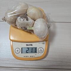 お取り引き決まりました！ 1玉ニンニク5玉(211ｇ)