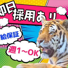 【即日採用×高日給】面接後その場で採用も♪高日給×シフト自由★...