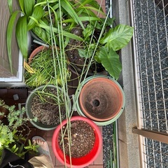 植木鉢　プランターの画像