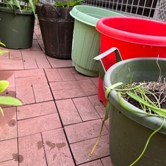 植木鉢　プランターの画像