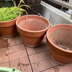 植木鉢　プランターの画像