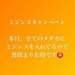 ミジンコ実質無料❗️