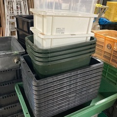 NV BOXやタライ、トロ舟80等　100円〜 の画像