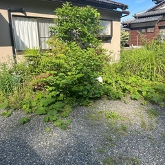 草刈り