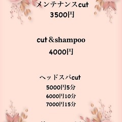 松本市 島内 美容室 プライベートサロン 松本市 ディズニー サロン 松本市 薪ストーブサロンhair salon sarah − 長野県