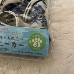 わんちゃんのスニーカーの画像