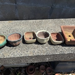 【訳アリ】大量の植木鉢　盆栽鉢 の画像