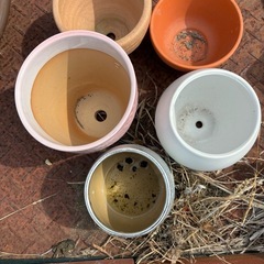 陶器製品お譲りします。の画像