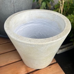 観葉植物　
アイビー鉢植えの画像