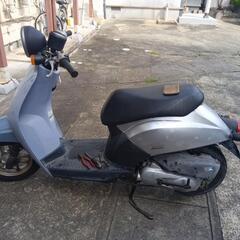 ホンダトゥディ50の画像