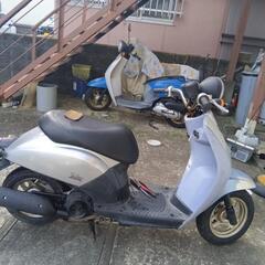 ホンダトゥディ50の画像