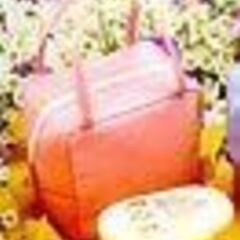 OSAMU GOODS／お弁当箱ポーチ misdoの画像