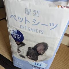 猫(ネコ)飼育セットの画像