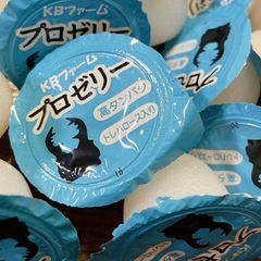 プロゼリー　30個　　KBファーム プロゼリー 昆虫ゼリー クワ...