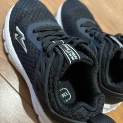 17センチの画像