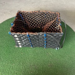 イシダイ 石鯛 磯 底物 餌 エサ ウニ サザエ ヤドカリ イセ...
