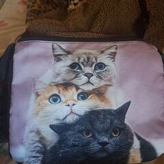 猫バック♪